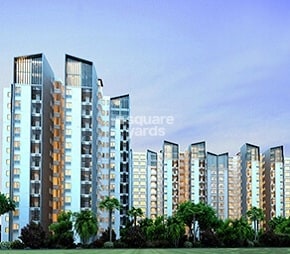 tn golden gate panorama project flagship1