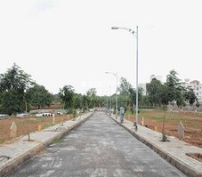 Golden Group Valley Featured Image