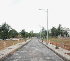 Golden Group Valley Featured Image