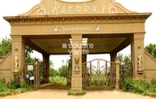 Golden Harmony Featured Image