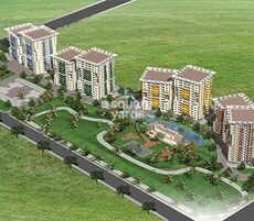 Golden Palm Enclave Featured Image