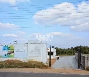 Golden Serenity Featured Image