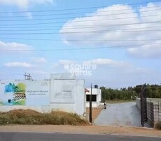 Golden Serenity Featured Image