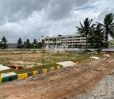 Golden Vinyasa Nest Featured Image