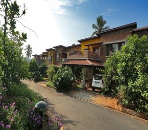 Good Earth Ochre Featured Image