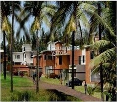 Good Earth Palmgrove