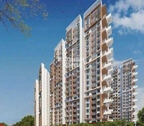 GR Commanders City Featured Image