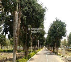 Grand Icon Phase 2 Featured Image