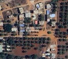 Green Earth Featured Image