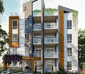 Greenleaf Bougainvillea