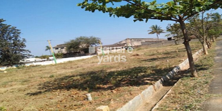 GSR Green City Cover Image