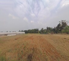 Guru Punvaanii Ernika Featured Image