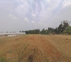 Guru Punvaanii Ernika Featured Image