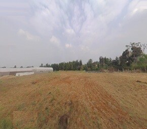 Guru Punvaanii Ernika