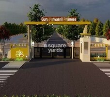 Guru Punvaanii Primrose Featured Image