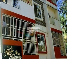 Hani Blossom Featured Image