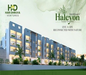 Haridhruva Halcyon