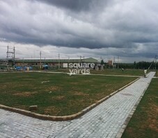 Hiland Blossom Featured Image