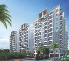 Hilife Greens Featured Image