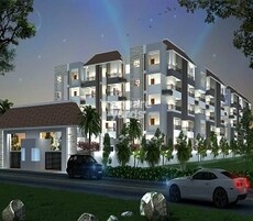 Hilife Pearl Shell Featured Image