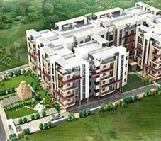 Hilife Sunny Side Featured Image