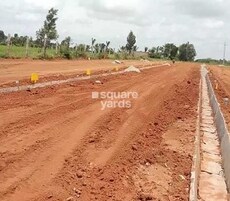 Hirakamani Teju City Featured Image