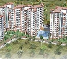 HM Symphony Featured Image