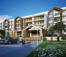 Holiac Bella Tattvaa Featured Image