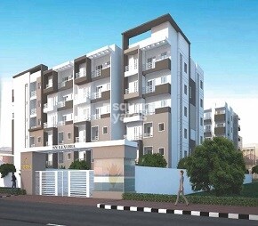 Icon SN Luxuria Featured Image