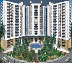 India Platinum City Featured Image
