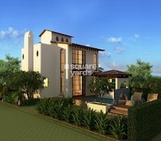 Inner Spaces Path In The Woods Featured Image