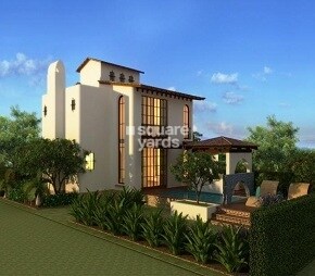 Inner Spaces Path In The Woods