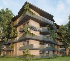 JRC Wild Woods Featured Image