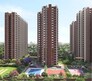 Kalyani Living Tree Flagship Image