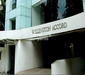Kay Arr Wellington Accord