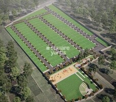 KNS Amora Featured Image