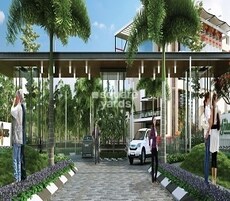 KNS Aroha Featured Image