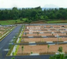 KNS Neoliva Featured Image