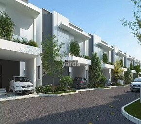 Konig Orange County