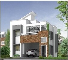 Kristal Chrysolite Featured Image