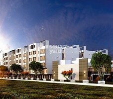 KSR Basil Featured Image