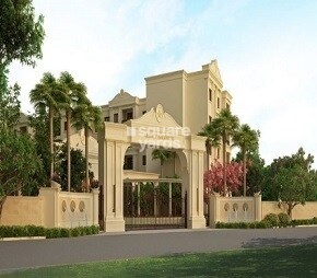 Legacy Salvador Video