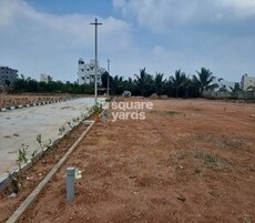 Leo Pride Nature Ville Featured Image