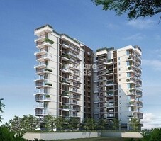 LGCL Luxuriate Featured Image