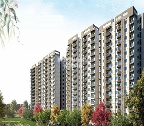 LnT Raintree Boulevard