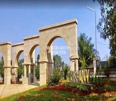 Lone Star Crexcel Tuscany Featured Image