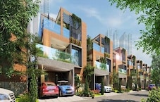 Luxuria Aurelius Featured Image