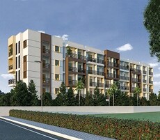 LVS Classic Featured Image