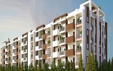 LVS Paradise Featured Image