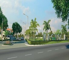 Magnolia Temple Tree Featured Image